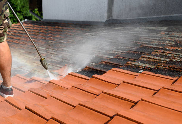 Best Power Washing Near Me  in Star City, WV